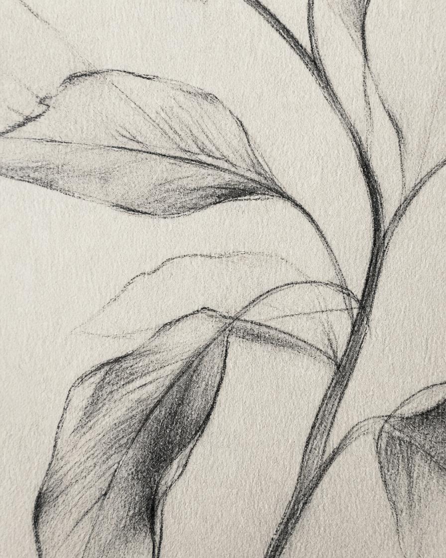 Dessin